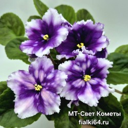 МТ-Свет Кометы